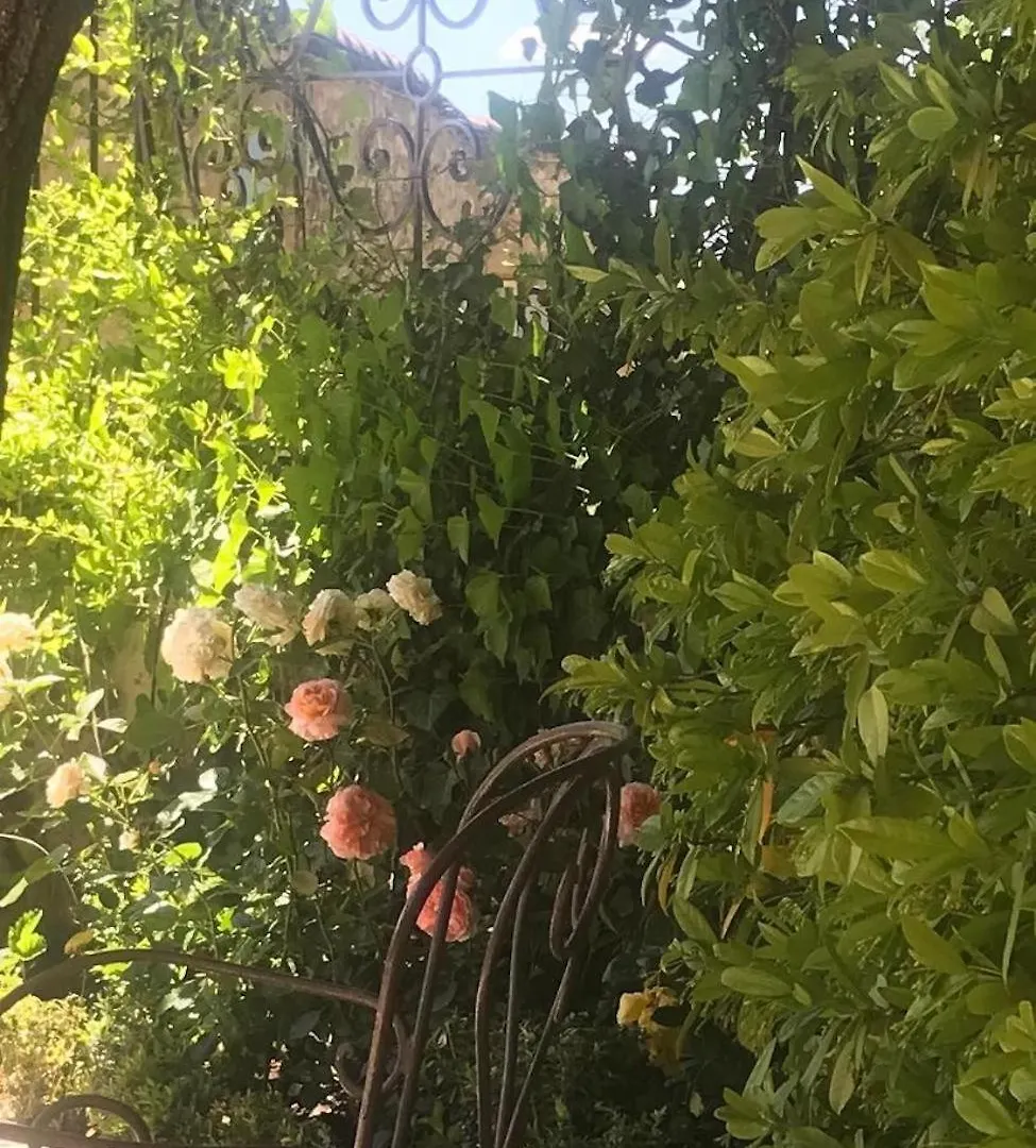 Bed & Breakfast Les Vieux Murs Montfort