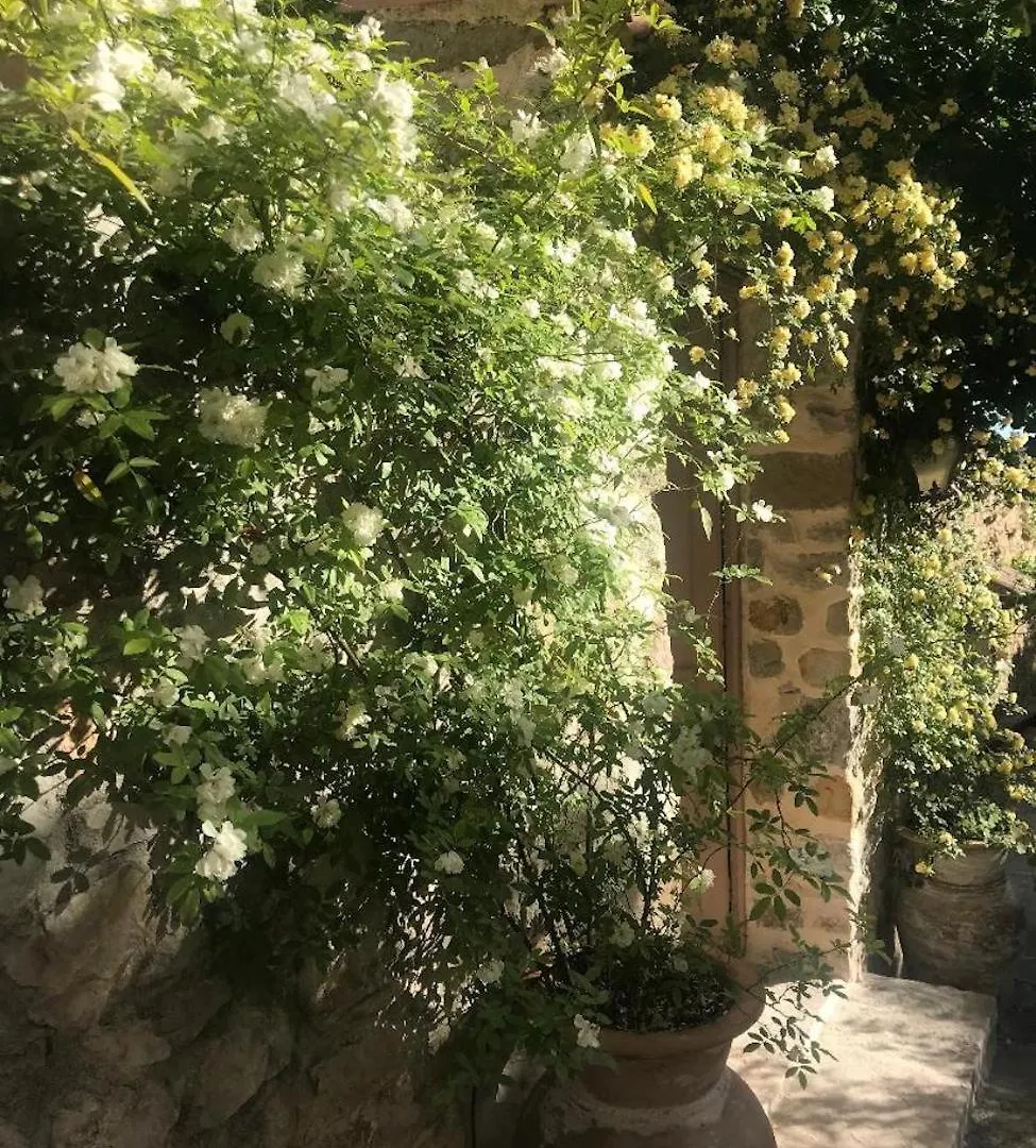 Les Vieux Murs Montfort
